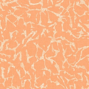 Smudge Spots Orange