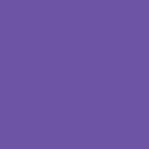 coordinating solid color pansy purple 6d54a5