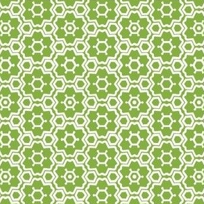 FS Geometric Floral White on Apple Green Tile