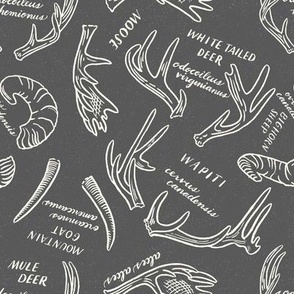 Antler Dance Dark (Medium Scale) 240601b / Backwoods camping cabin print with forest animals in black and beige  / hand painted neutral fall woodland animals print