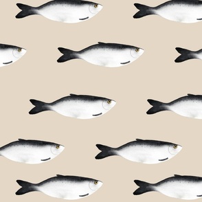 medium - Moody herring fish - dark gray on swan beige