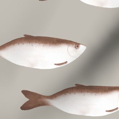 medium - Moody herring fish - pinecone brown sepia on moonsrtuck gray beige