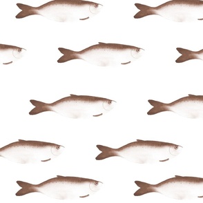 medium - Moody herring fish - pinecone brown sepia on white