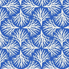 Monochrome Seaweed Ogee Ecru White on Cobalt Blue M