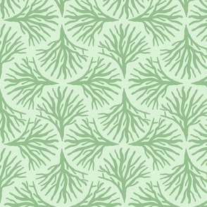 Monochrome Seaweed Ogee Green on Mint M