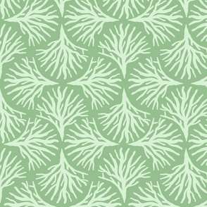 Monochrome Seaweed Ogee Mint on Green M