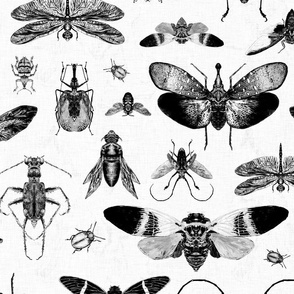Intricate monochrome insects on a marbled background