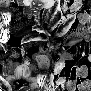 Bizarrely beautiful flowers and plants in monochrome on a dark inky background 