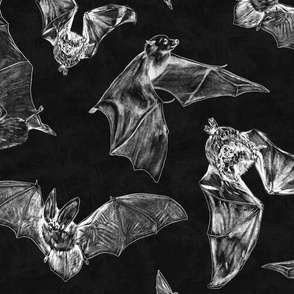 Brilliant white bats on a dark inky black background 