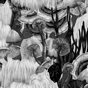 Magical Mushrooms in cool monochrome colors