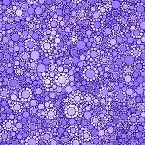 Vibrant Purple Dotty Desert Flowers