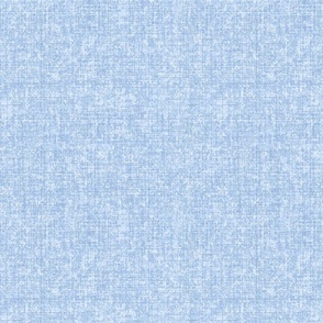 Woven Texture Blue