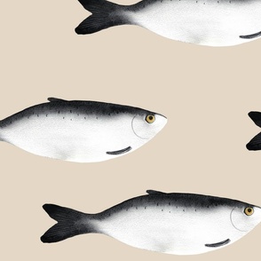 large - Moody herring fish - dark gray on swan beige