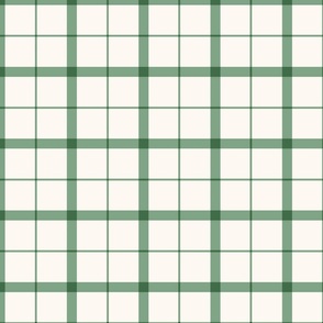 (L) Classic Windowpane Check/Plaid Thick and Thin Lines Green and Off White
