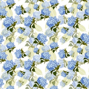 Festive Hydrangeas - blue 