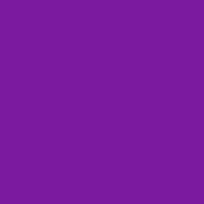 coordinating solid color violet purple 7b1a9f