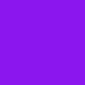 coordinating solid color bright violet purple 8b16ee
