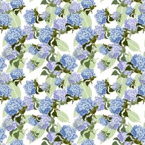 Festive Hydrangeas - blue #3