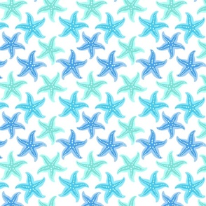 Blue and Turquoise Starfish