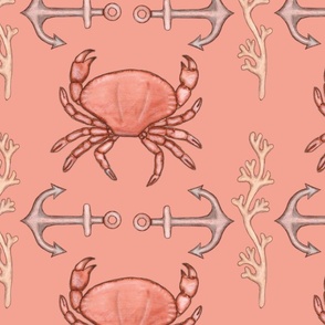 Anchors crabs and seaweed on peach background