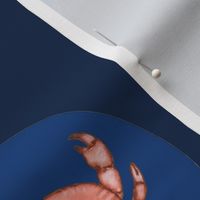 Crabs and anchors on navy background