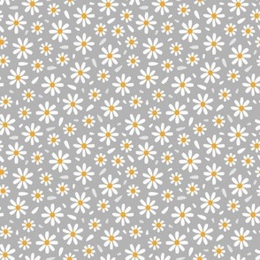 Daisy Flowers / Gray 2
