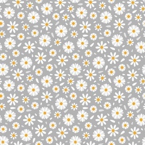 Daisy Flowers / Gray 3