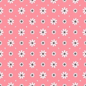 Daisy Flowers / pink 2