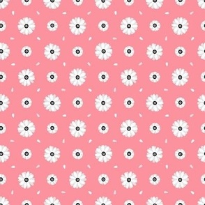 Daisy Flowers / pink 1