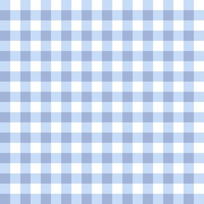gingham - dusty blue on white