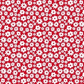 Tiny white daisies on bright red background. Extra small scale daises. Small scale red flowers. Ditsy Flowers red and white.