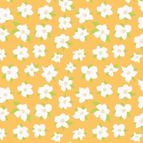 Apple flowers - Yellow background
