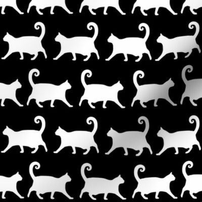 Plump Cats Walking - White on Black  (M)