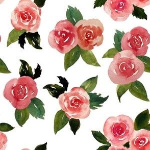 Watercolor Roses on White