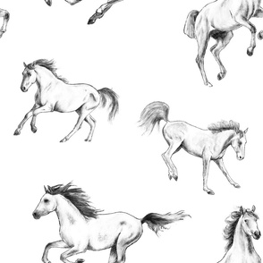 Wild horses vintage horses sketched horses cowboy equestrian in black