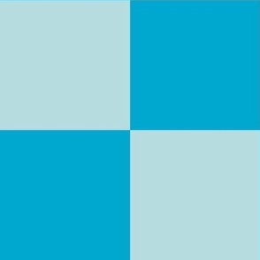 Checkerboard // x-large print // Mod 80s Retro Contrasting Geometric Checks - Bubblegum Blue on Light Blue