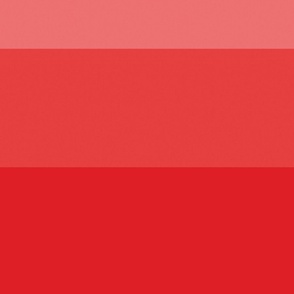 Wide Horizontal stripe ombre  red