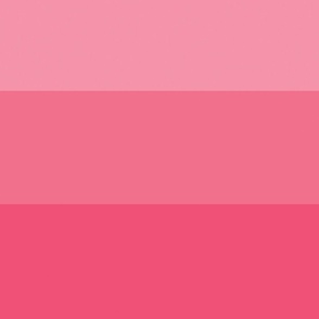 Wide Horizontal stripe ombre  pink