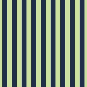 Halloween Awning Stripe Pastel Lime And Navy