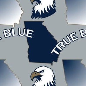  True Blue Eagles on gray large