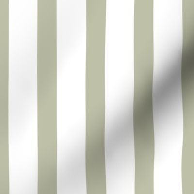 Stripes Hex #BEC1A8 Olive Green Tones on White - Vertical Lines and Stripes