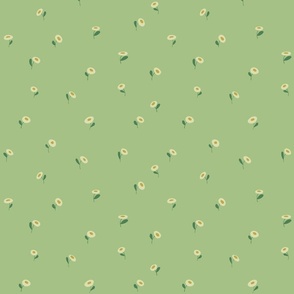 Simple Daisies on Sage Green/M - Directional