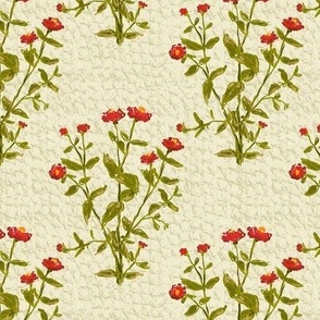 Nostalgia - 6" Abstract Red Zinnia Flower Plant on a Textured Beige White