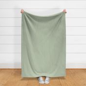 Warm Sun Chevron (6") - sage green