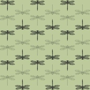Black Dragonfly in Green Matcha  -8" repeat