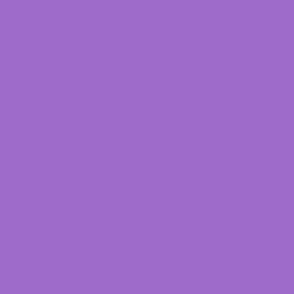 Purple Iris Solid