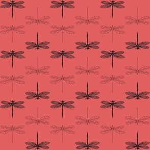 Black Dragonfly in  Sunset Coral  - 24" repeat