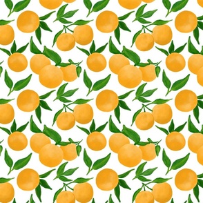 Orange Grove on White - Medium