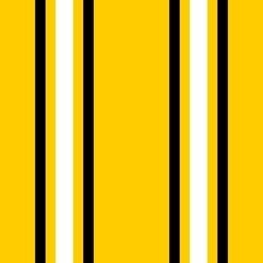 Appalachean State stripes  large 