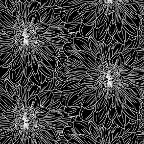 Dahlia Black with White Details